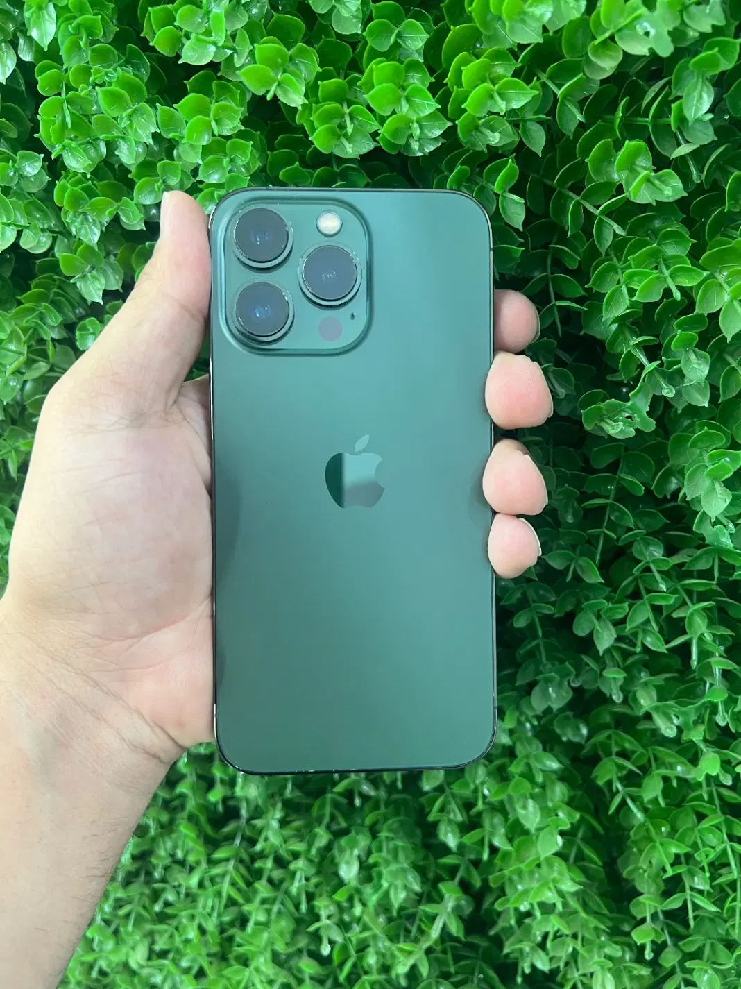iPhone 13 pro|موبایل|ارومیه, |دیوار