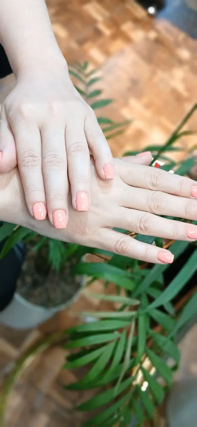 نیازمند مدل ناخن|خدمات آرایشگری و زیبایی|رشت, پیرسرا|دیوار