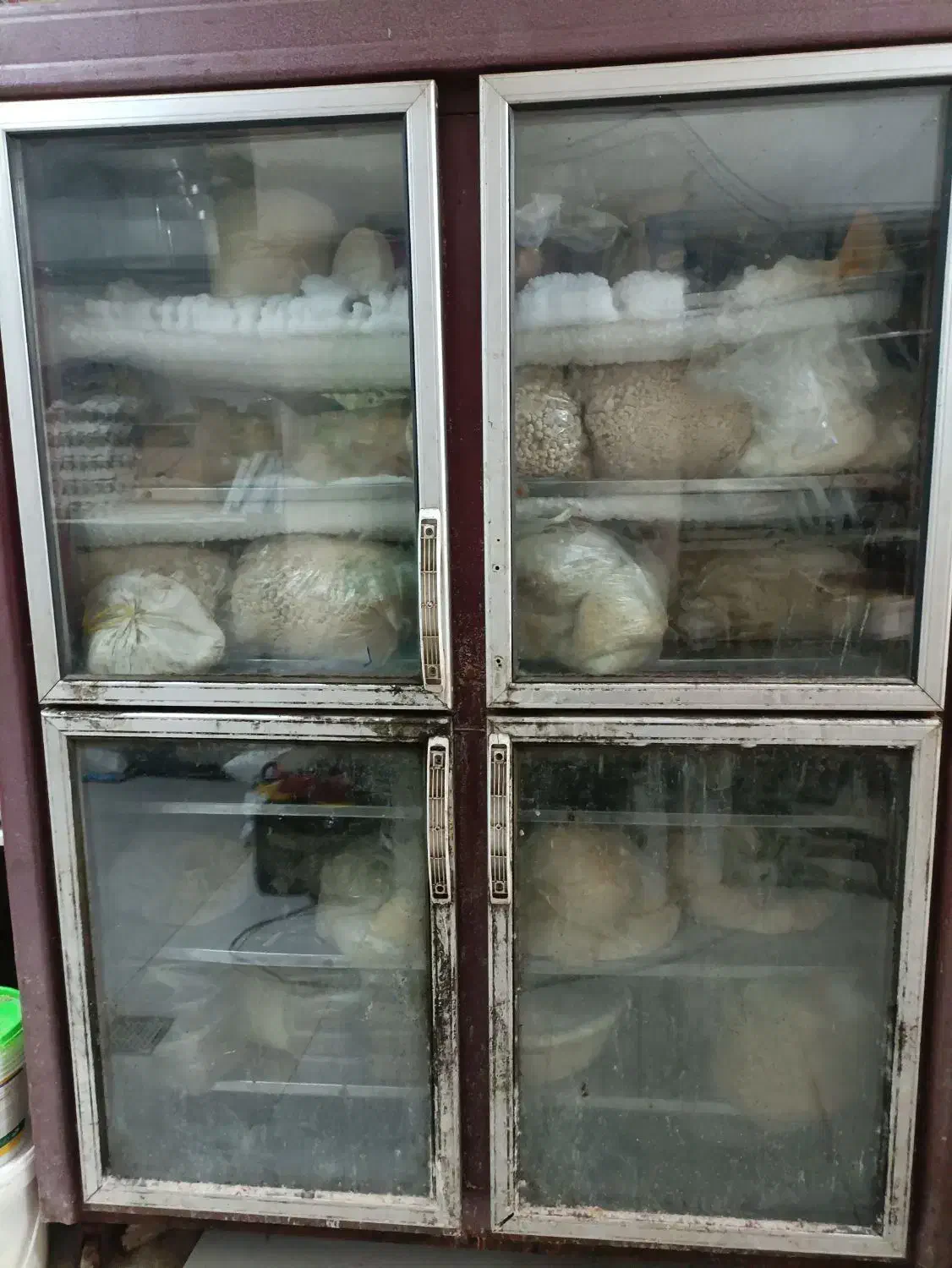 یخچال فریزر.انواع در و میز کار|فروشگاه و مغازه|قزوین, |دیوار