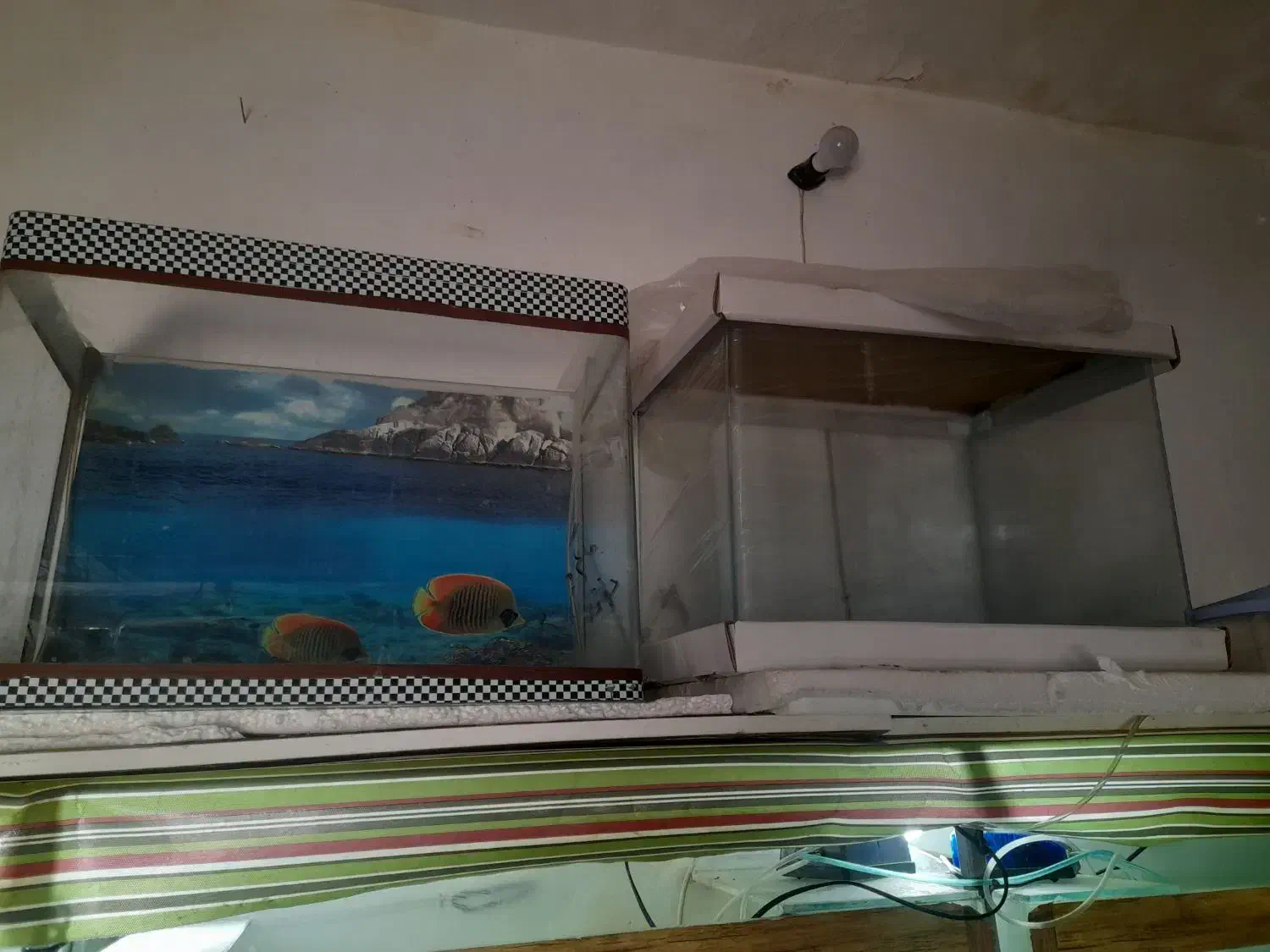 فروش آکواریوم با وسیله|ماهی|کوهدشت, |دیوار