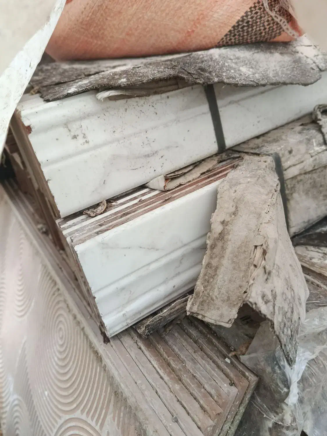 کاشی نو در شهرک ولیعصر|مصالح و تجهیزات ساختمان|گرمی, |دیوار