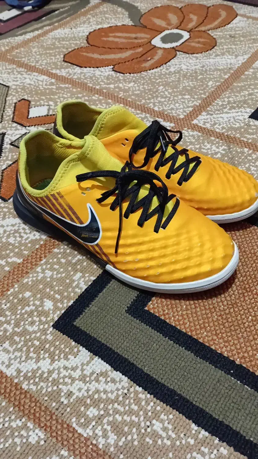 کفش مجستا|کیف، کفش، کمربند|آباده, |دیوار