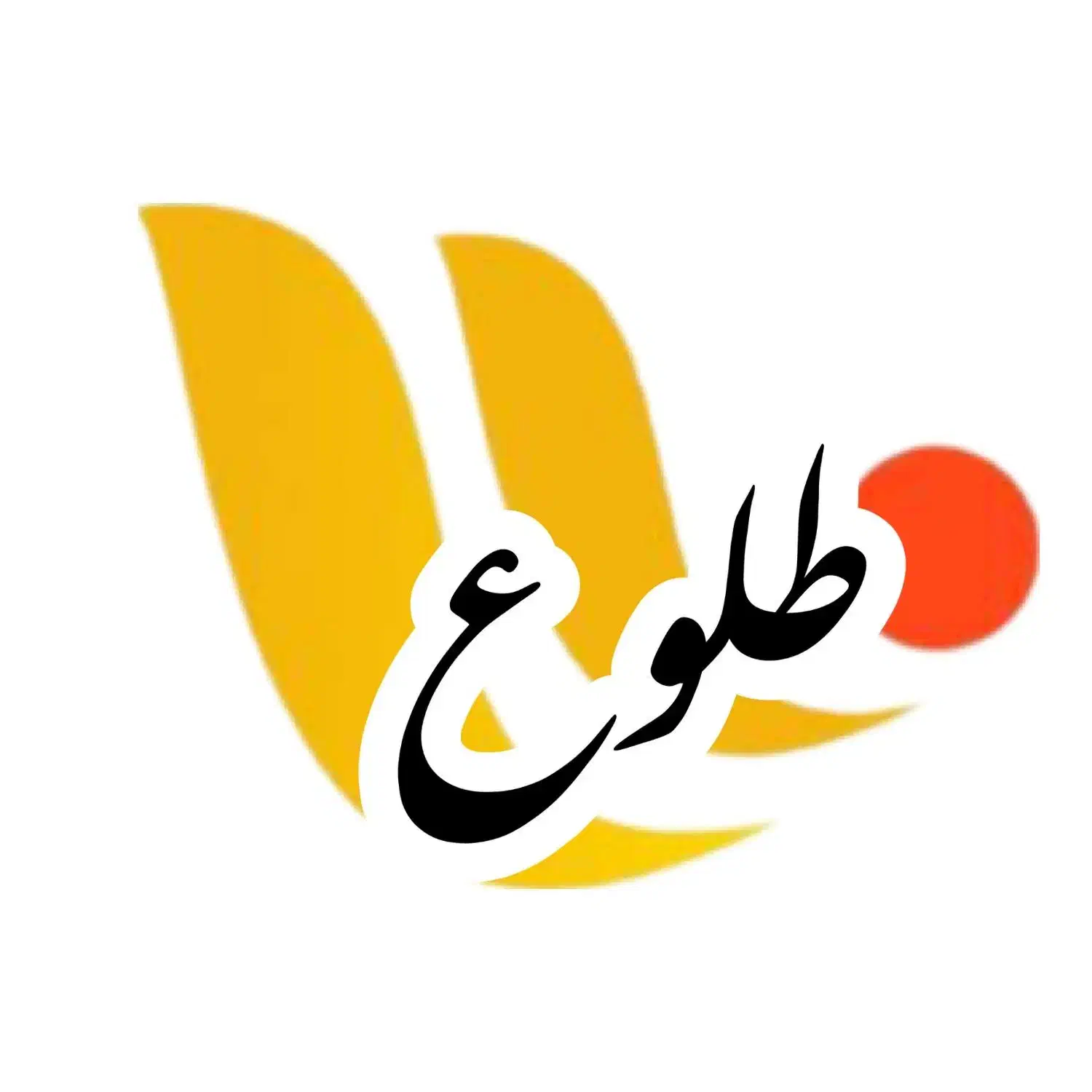 قالیشویی طلوع تابان سابق|خدمات نظافت|پاکدشت, پاکدشت (مامازند)|دیوار