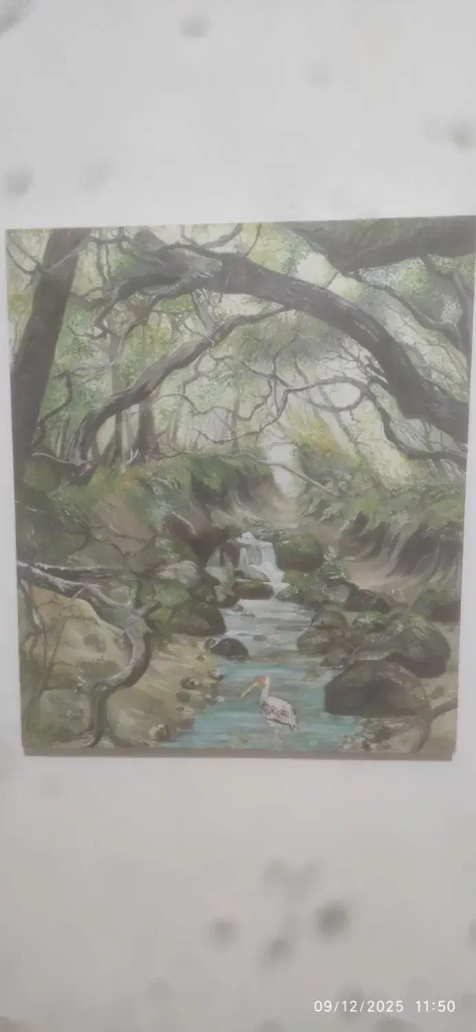 نقاشی جهت فروش در دبی و استانبول|تابلو، نقاشی، عکس|بوشهر, |دیوار