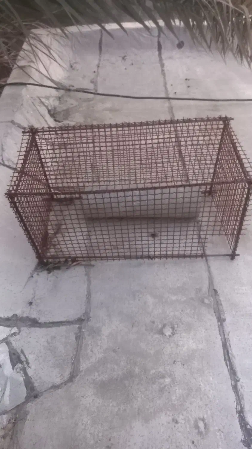 قفس|لوازم جانبی حیوانات|میناب, |دیوار