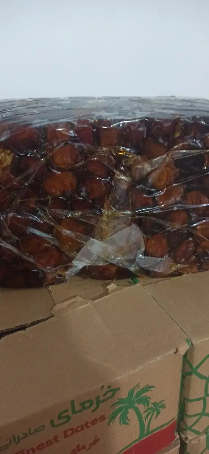 خرمای خاصوی|عمده‌فروشی|ریز, |دیوار