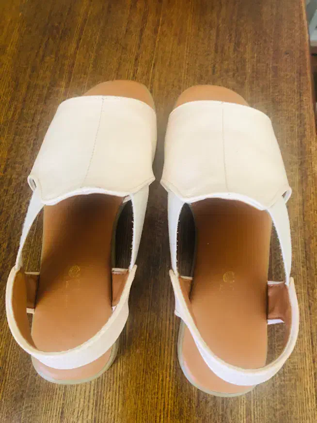 صندل|کیف، کفش، کمربند|رشت, معلم|دیوار