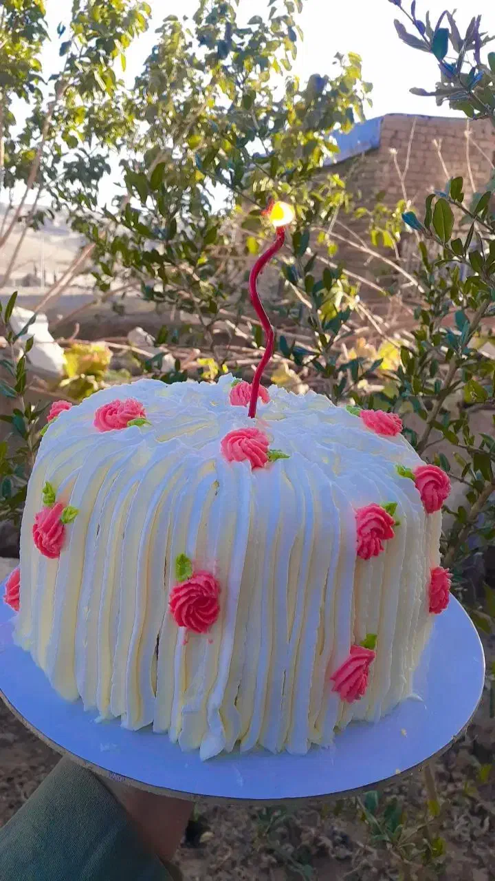 کیک شیرینی|خوردنی و آشامیدنی|سبزوار, مدرس|دیوار