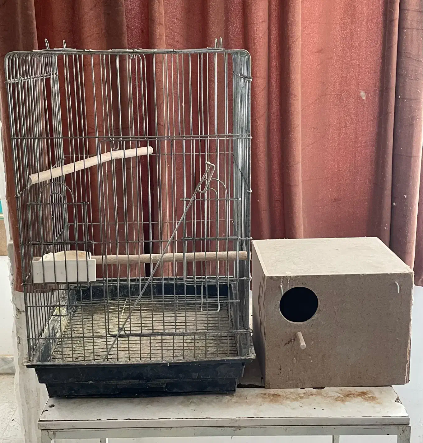 فروش گرینچیک|پرنده|هشتگرد, هشتگرد قدیم|دیوار