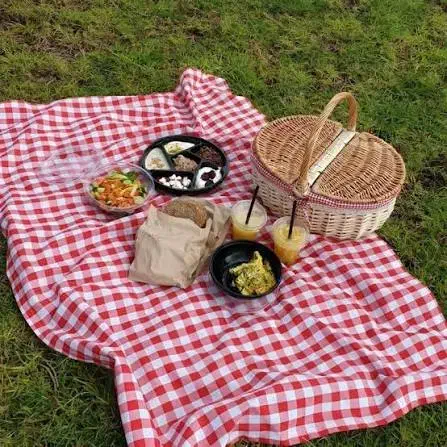 زیرانداز چهارخونه به همراه کوسن نشیمن پیک‌نیک|روفرشی|رشت, حمیدیان|دیوار