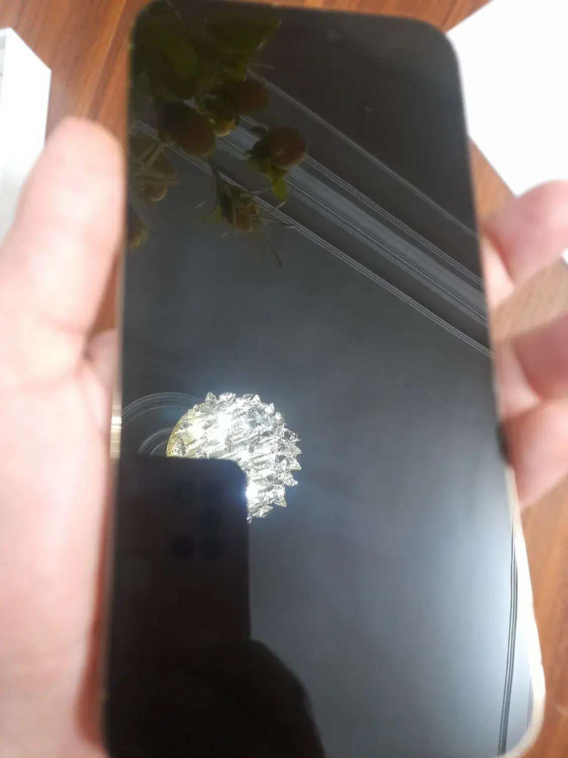 آیفون پرومکس 14|موبایل|ری, شهادت|دیوار