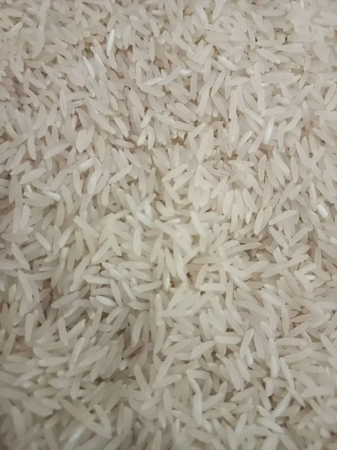 برنج فجر سوزنی معطر سورت شده به شرط پخت|خوردنی و آشامیدنی|خان ببین, |دیوار