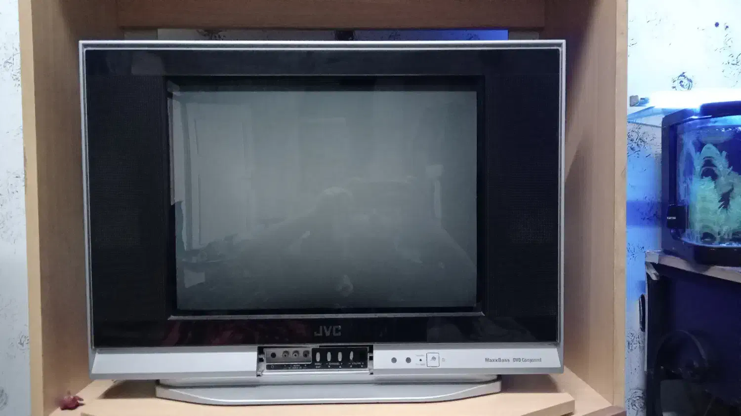 تلویزیون|تلویزیون و پروژکتور|رشت, نظری|دیوار