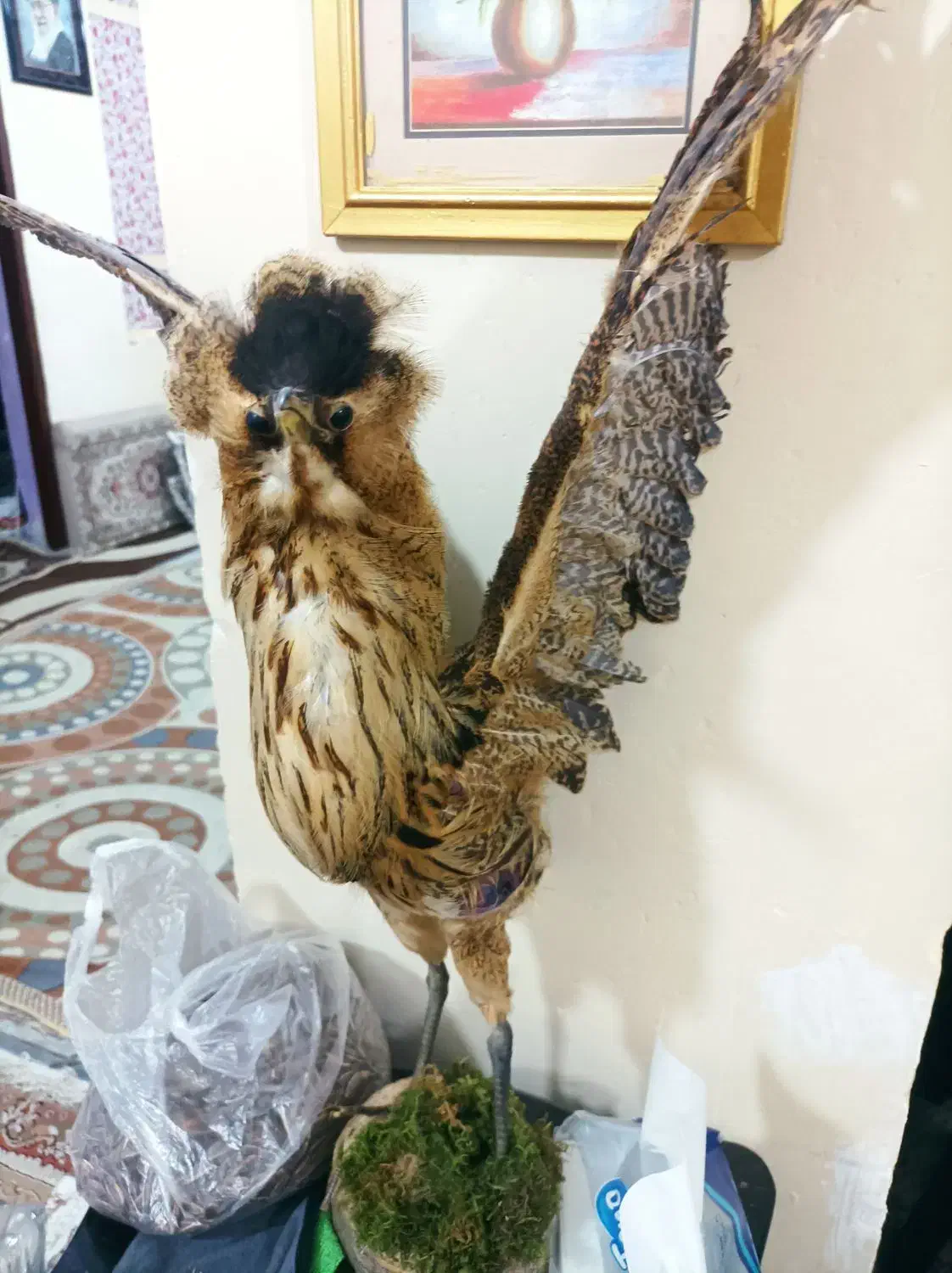 مجسمه|مجسمه، تندیس، ماکت|آبادان, |دیوار