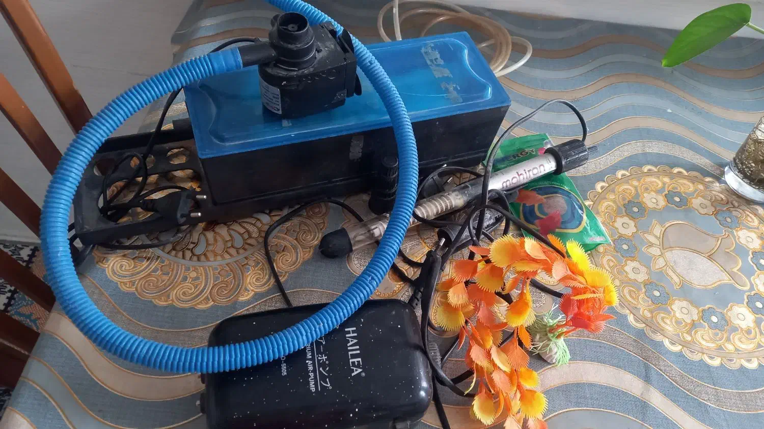 وسایل آکواریم|ماهی|دورود, |دیوار