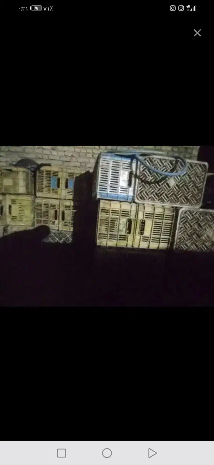 سبدبزرگ گورجه پرتغال باترازو معاوضه میکنم|ظروف نگهدارنده، پلاستیکی، یکبارمصرف|تایباد, |دیوار