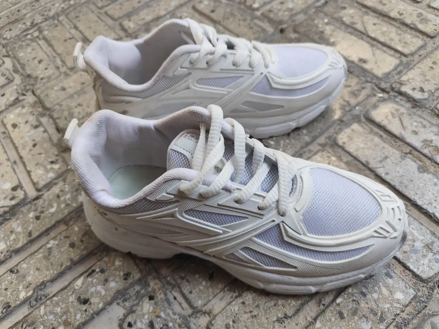 کفش اسپرت|کیف، کفش، کمربند|بروجن, |دیوار