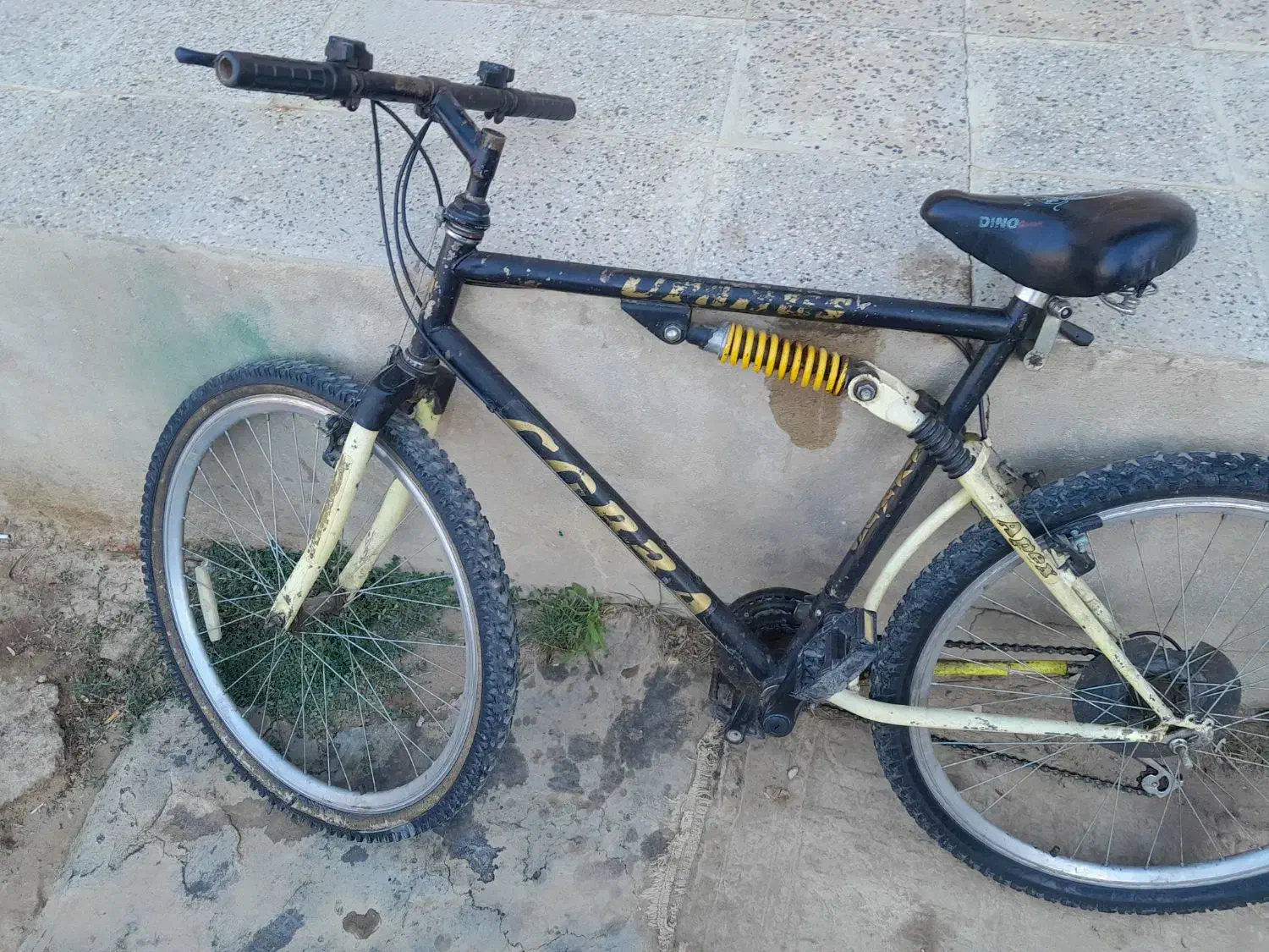 دوچرخه ۲۶|دوچرخه، اسکیت، اسکوتر|بهار, |دیوار