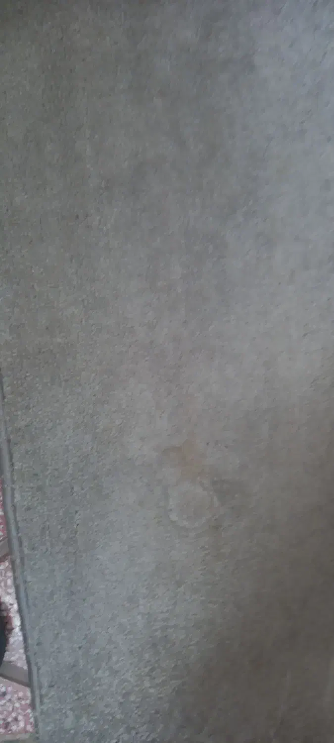 تعدادی موکت|موکت|اراک, |دیوار