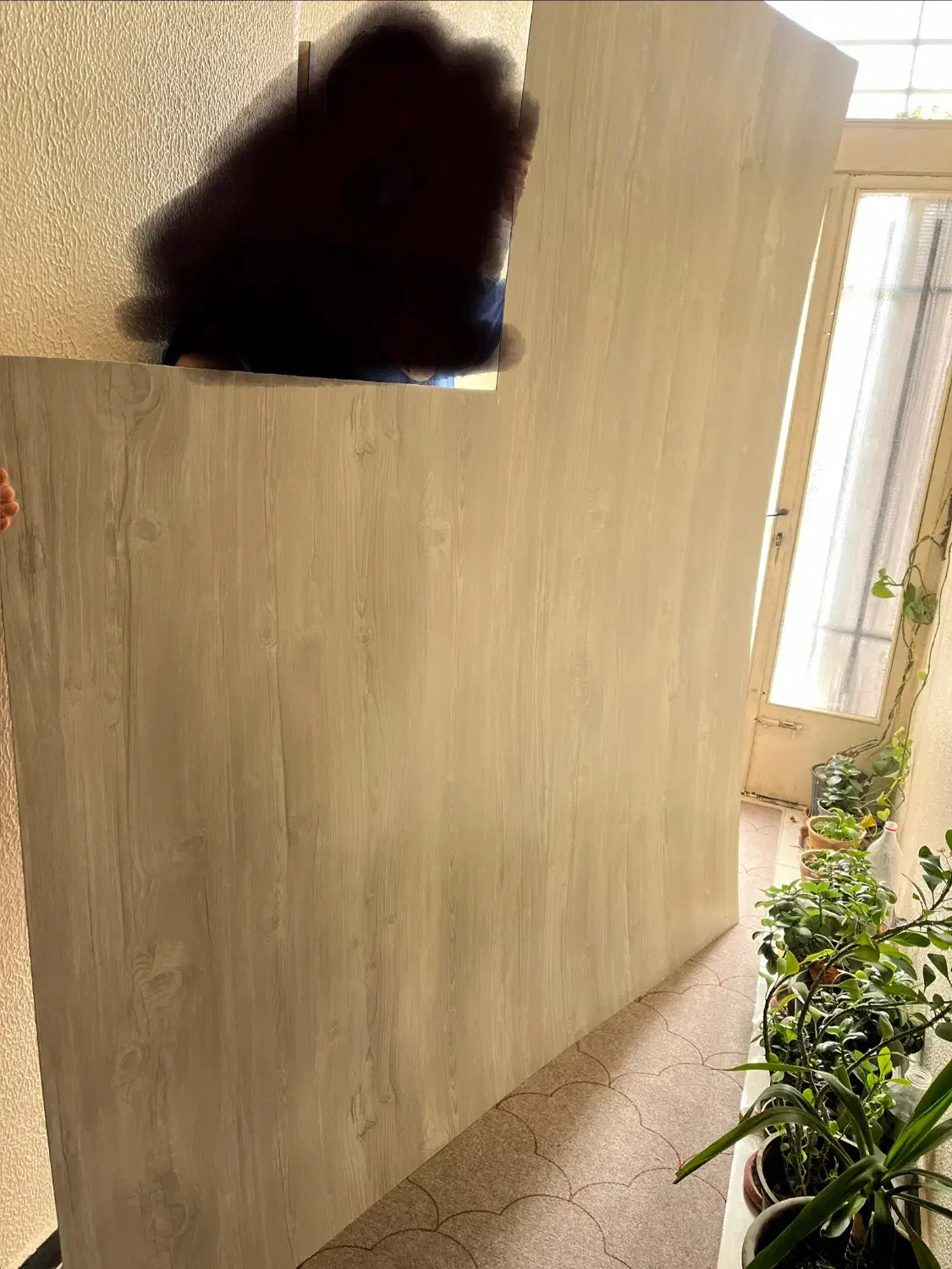 تخته چوب ۳ میل|تخت و سرویس خواب|شاهین‌شهر, مخابرات (شهید بهشتی)|دیوار