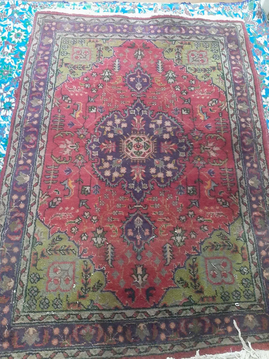 فرش دستبافت|فرش|رشت, بیجارپس|دیوار