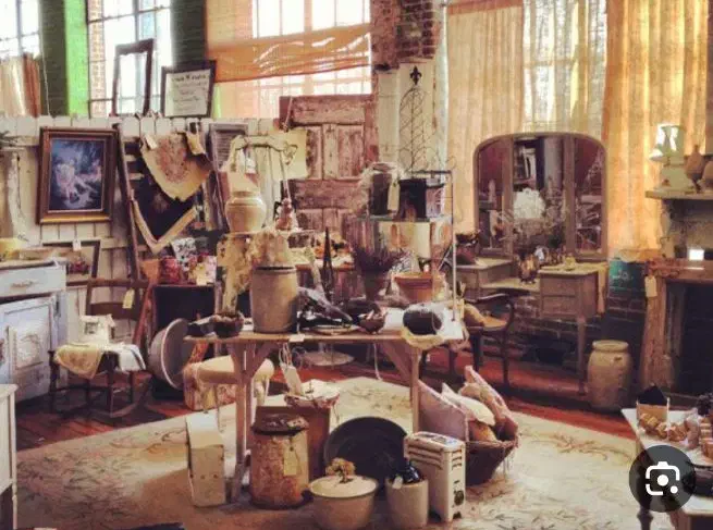 سمساری|فعالیت داوطلبانه تحقیقاتی|اردبیل, |دیوار