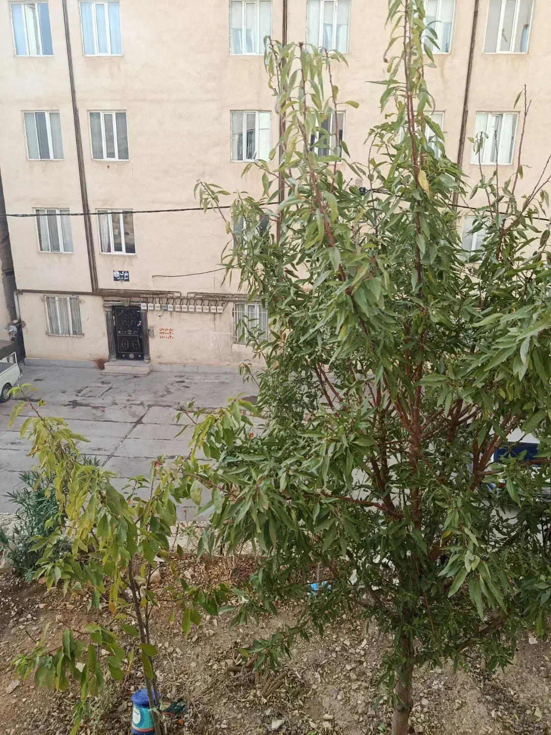 فروش مسکن مهر هلانیه دوخوابه|فروش آپارتمان|جوانرود, |دیوار