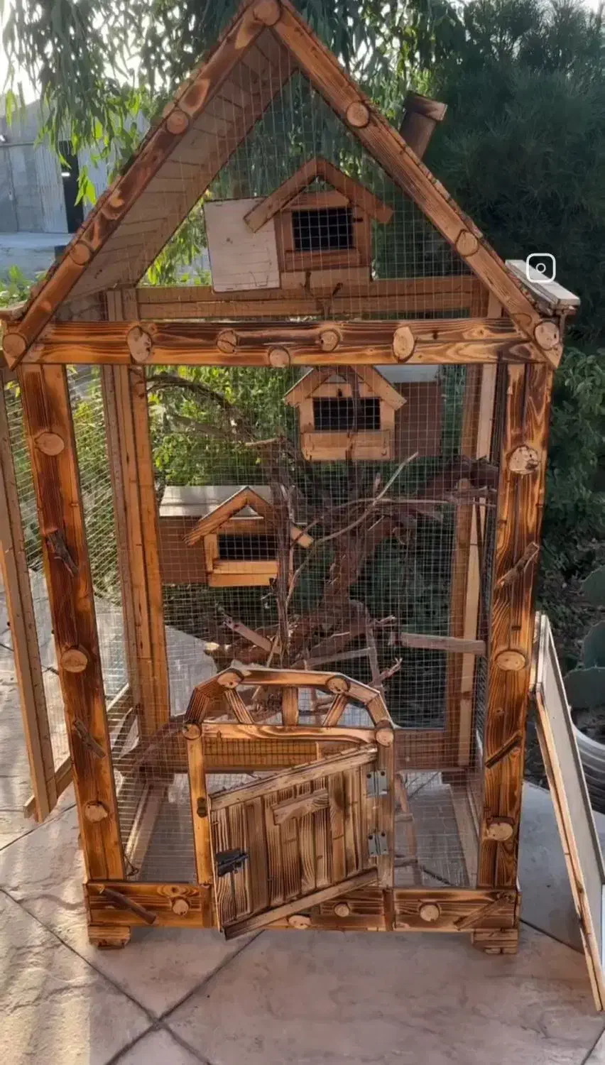 ساخت انواع توری یا قفس پرنده|لوازم جانبی حیوانات|تربت جام, علوی|دیوار