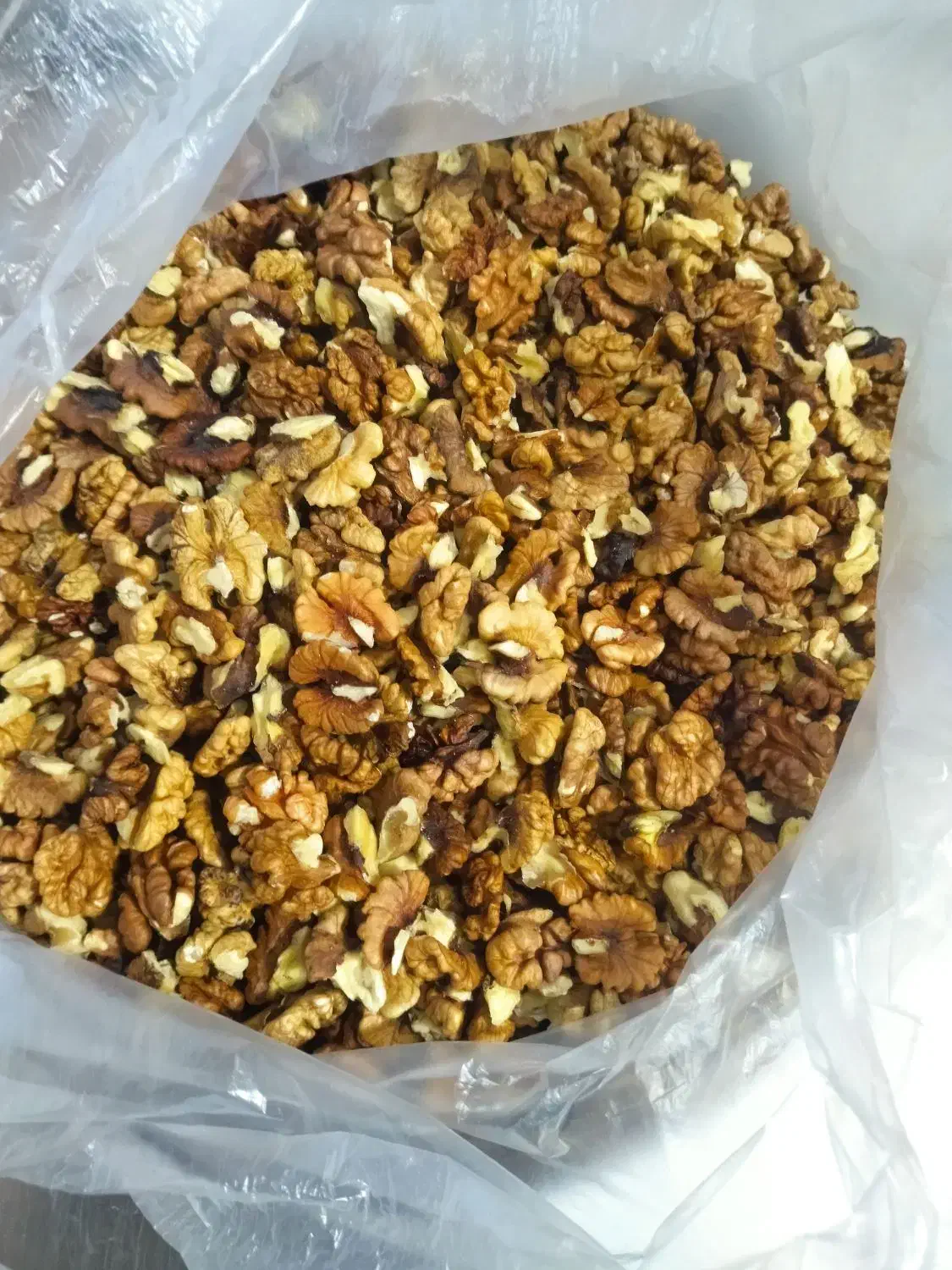 مغز گردو 5 کیلو|حراج|مریوان, |دیوار