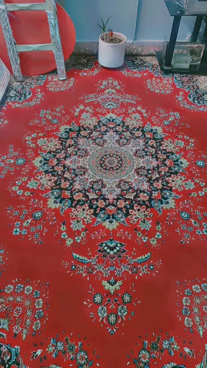 فرش ۱۲ متری و قفسه خوراکی|فرش|بروجرد, |دیوار