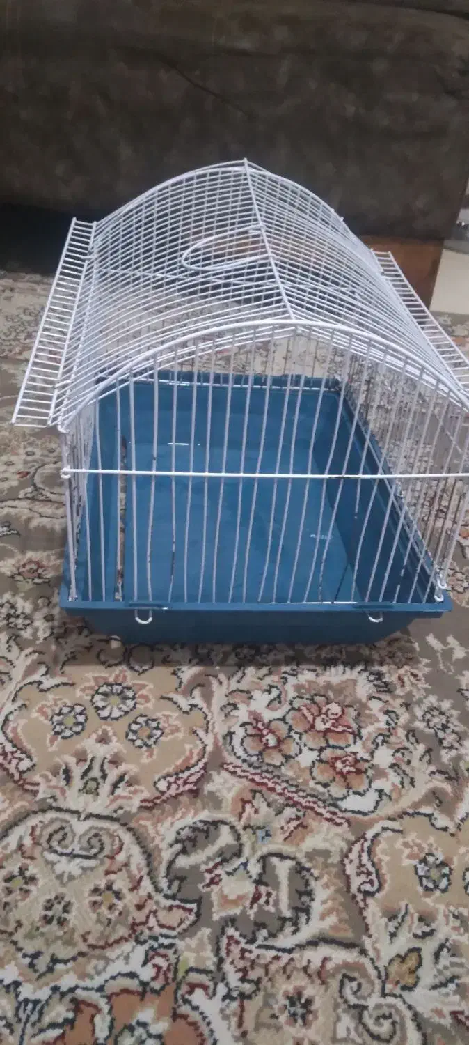 قفس فلزی|لوازم جانبی حیوانات|رباطکریم, مسکن مهر آبشناسان|دیوار