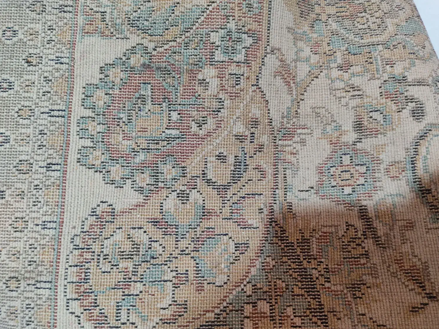 فرش|فرش|مشهد, گلشور|دیوار