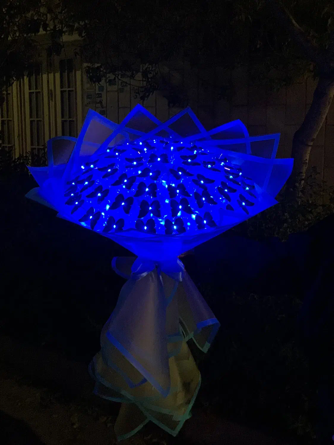 دسته گل پروانه با نور ال ای دی|گل مصنوعی|بجنورد, |دیوار