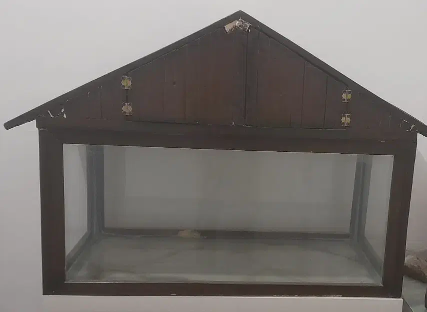 اکواریوم|ماهی|رفسنجان, |دیوار