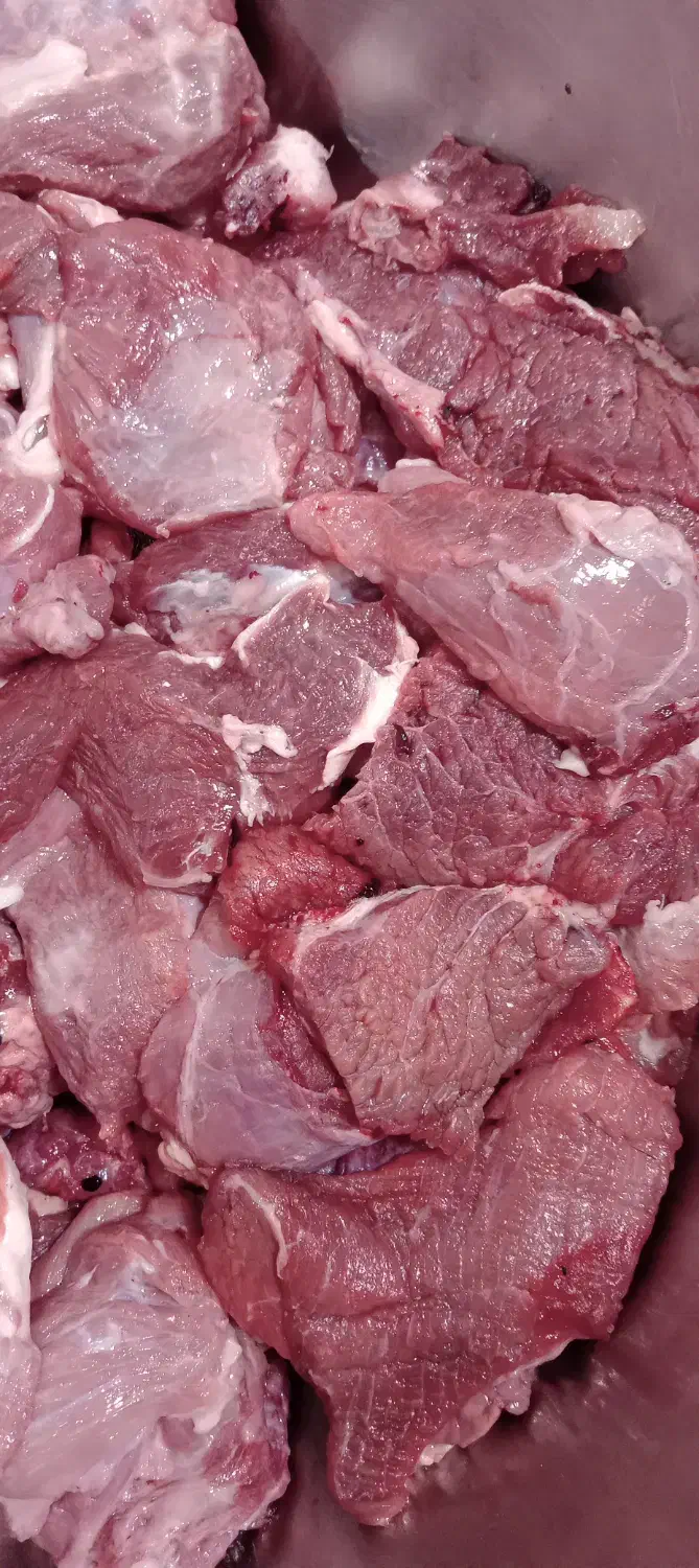 کله گوشت|خوردنی و آشامیدنی|لاهیجان, کوی آزادگان|دیوار