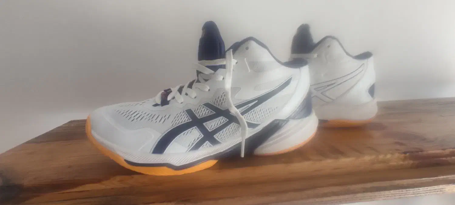 کفش والیبال|کیف، کفش، کمربند|گنبد کاووس, |دیوار