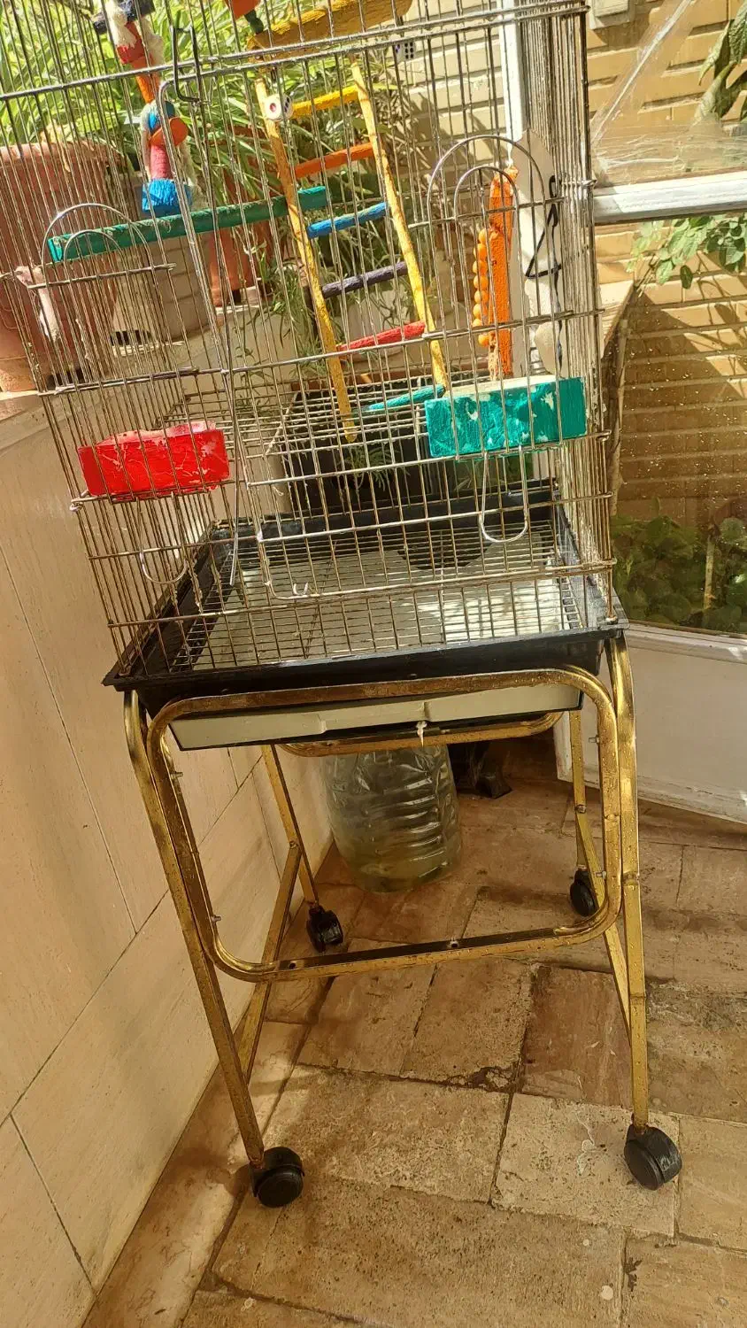 قفس بزرگ با پایه|لوازم جانبی حیوانات|کرج, استاندارد|دیوار