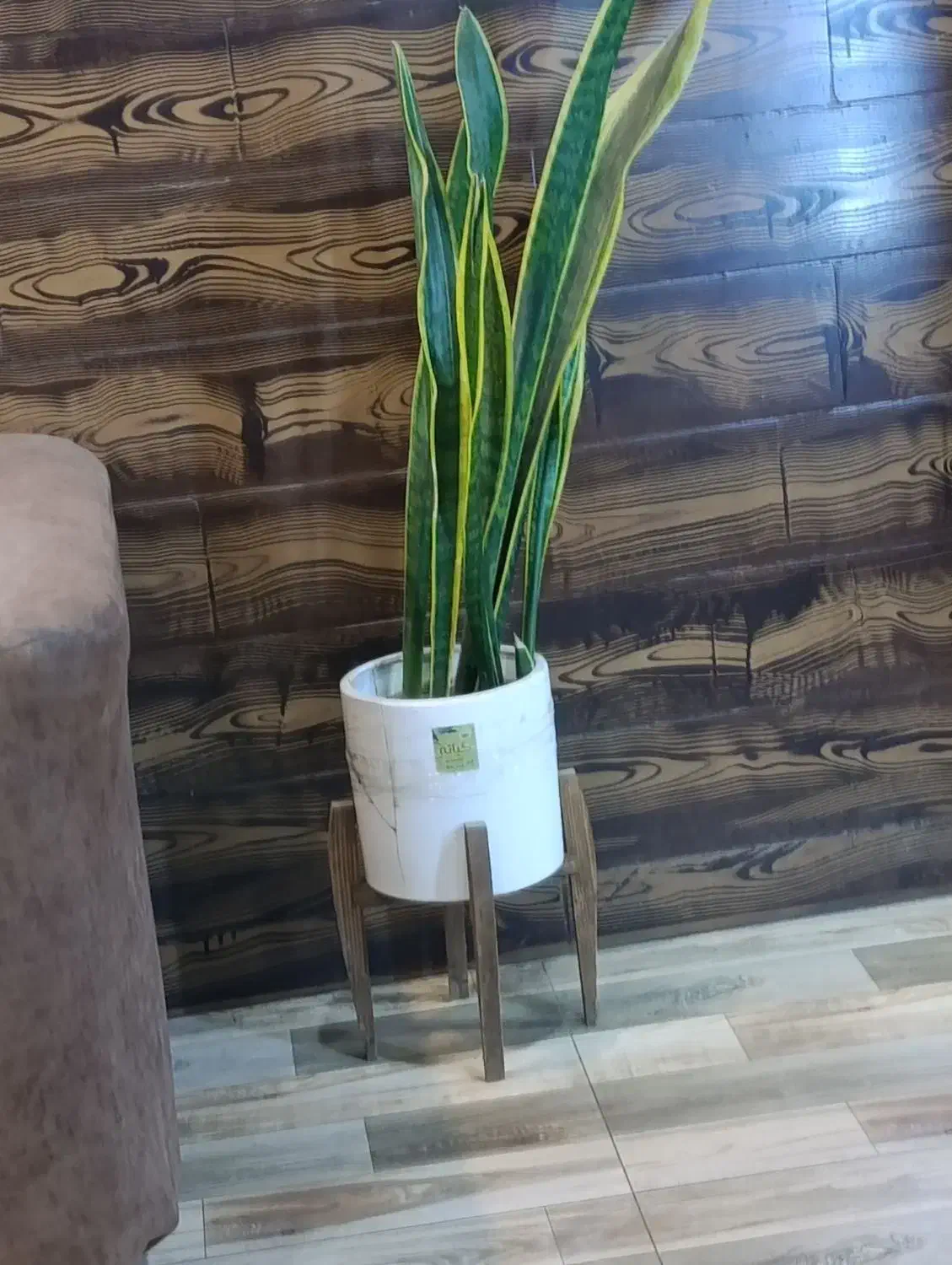 شغل مناسب|فعالیت داوطلبانه|آق قلا, |دیوار