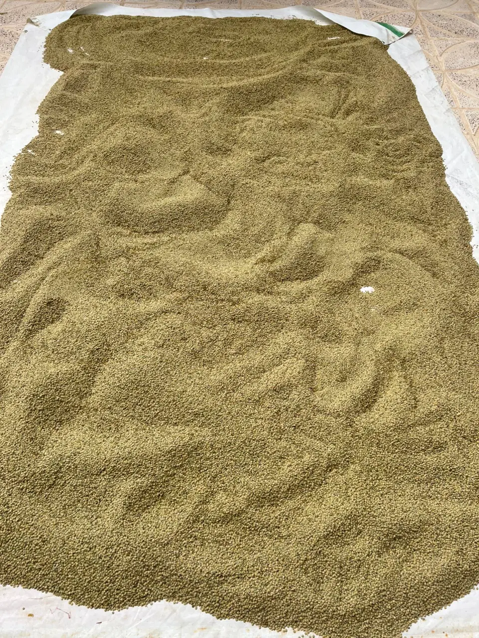 عدس|خوردنی و آشامیدنی|صالح آباد (ایلام), |دیوار