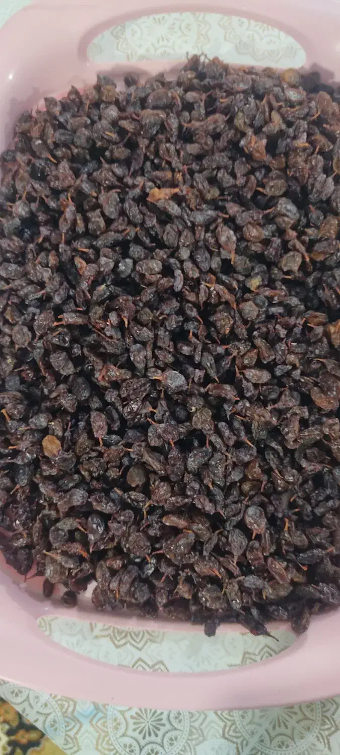 فروش دو گونی کشمش محلی ارگانیک|خوردنی و آشامیدنی|مسجد سلیمان, |دیوار