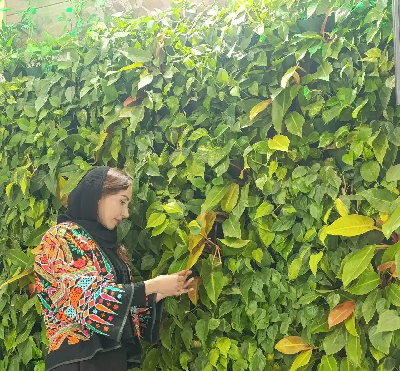 بام سبز،اجرای فضای سبز،دیوارسبز،آلاچیق و آبنما|مصالح و تجهیزات ساختمان|شیراز, نیایش|دیوار