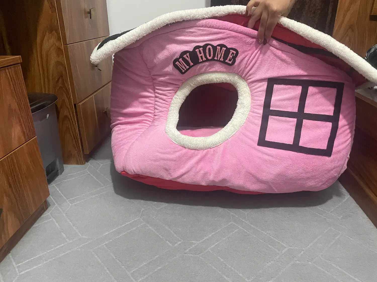 خونه سگ یا گربه|لوازم جانبی حیوانات|قم, پردیسان|دیوار