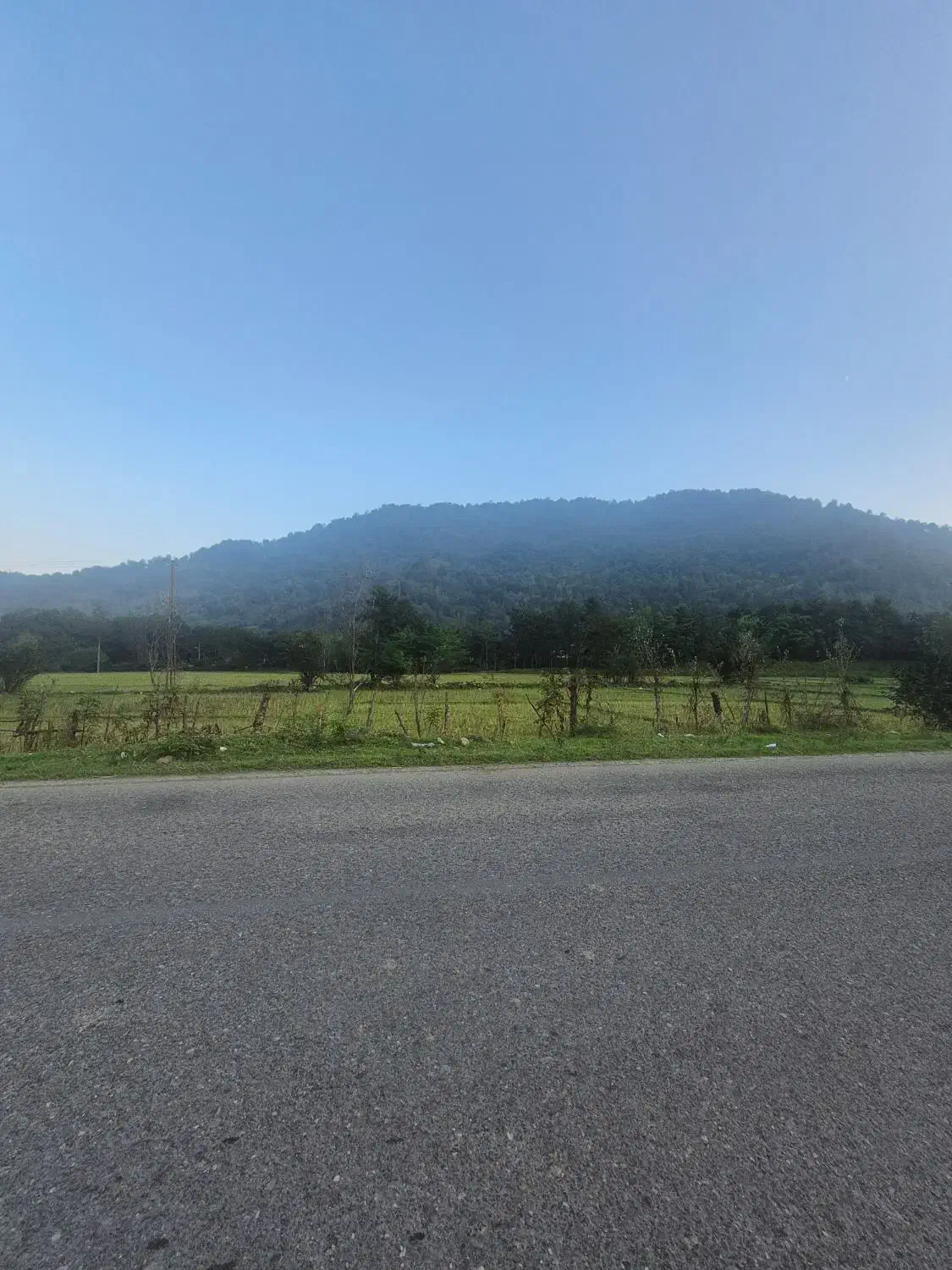 1300 متر زمین مسکونی جنگلی|فروش زمین و ملک کلنگی|شفت, |دیوار