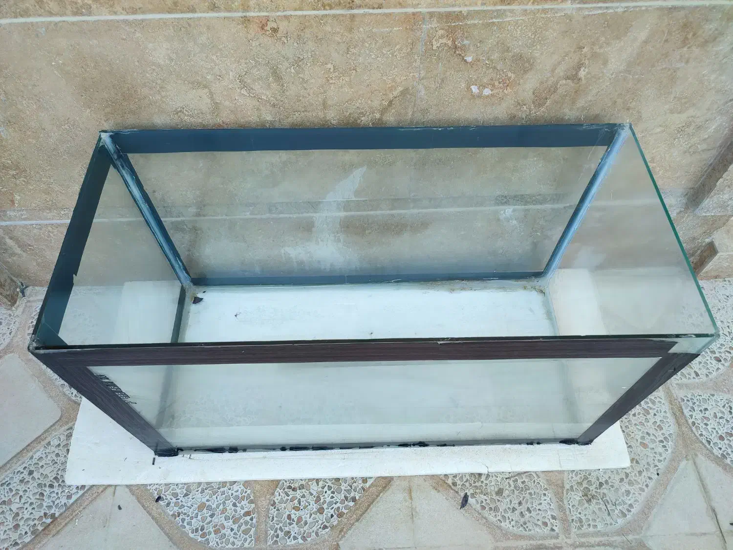 آکواریوم|ماهی|کازرون, |دیوار