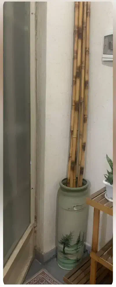 گلدان و گل بامبو|گل مصنوعی|شاهین‌شهر, عطار|دیوار