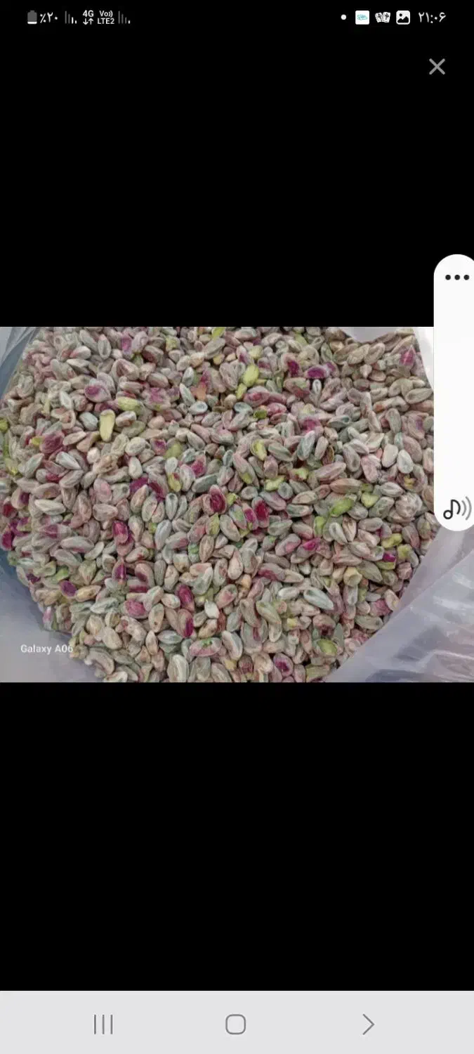 پسته پسته پسته گلدار گوشتی تازه|خوردنی و آشامیدنی|قم, یزدان‌شهر|دیوار
