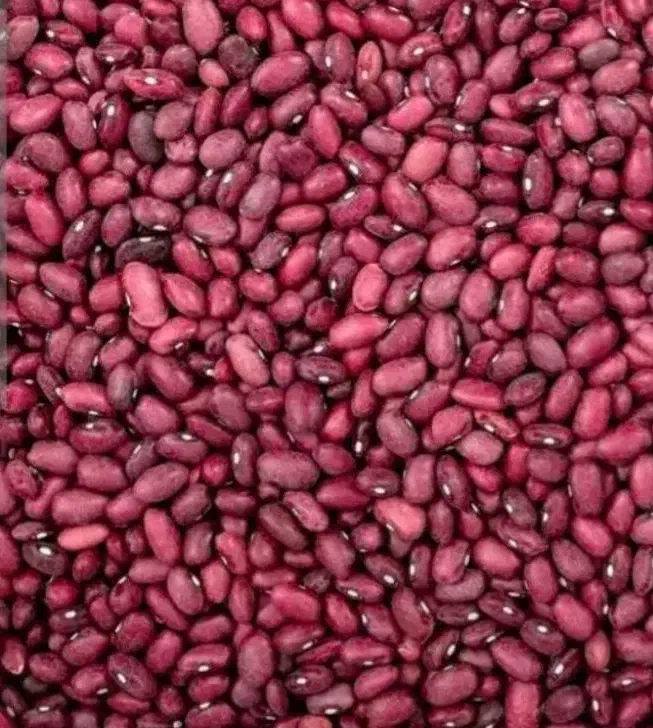 لوبیا قرمز|خوردنی و آشامیدنی|پاسارگاد, |دیوار