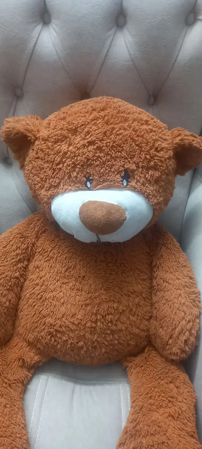 خرس|اسباب‌بازی بچه|قم, زنبیل آباد|دیوار