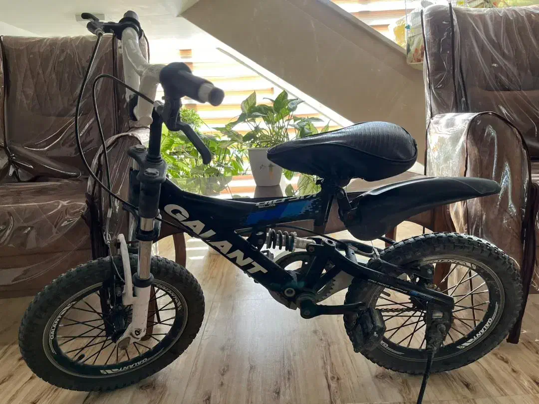 دوچرخه ۱۶ خارجی|دوچرخه، اسکیت، اسکوتر|طبس, |دیوار