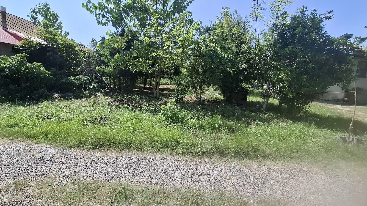 فروش زمین مسکونی 450متری /جاده کیاشهر /تونل جنگلی|فروش زمین و ملک کلنگی|کیاشهر, |دیوار